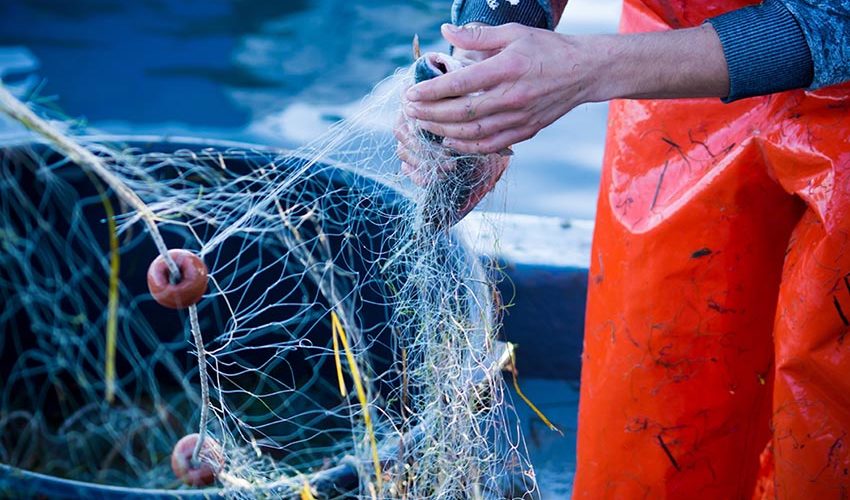 Pesca sostenibile, al via il bando della Regione Liguria da 260mila euro